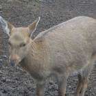 DSCN4897.JPG