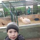 Зооботанический сад 26.11.2017 г. Казань.107340