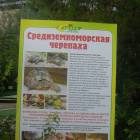 DSCN0185.JPG