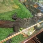 DSCN4861.JPG