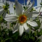 DSCN1538.JPG