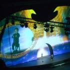 DSC01682.JPG