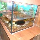 DSC05969.JPG