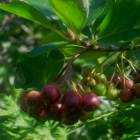 DSCN1668.JPG
