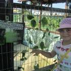 IMG_6160.JPG