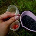 DSCN0629.JPG