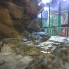 IMG_20171112_191409