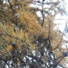 DSCN5039.JPG