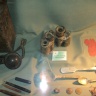 DSC04967.JPG