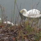 DSCN4933.JPG