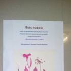 Выставка "Воспоминания о лете" 26.11.17г.108185