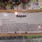 КК№46.Парк тропических бабочек.62370