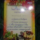 я и моя культурная команда делает поделку82418