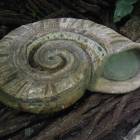 DSCN4808.JPG