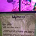 Мир динозавров. ТРЦ Италмас.63522