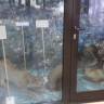 IMG_20160324_150150