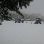 DSCN5319.JPG