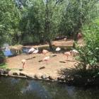 IMG-20190604-WA0031