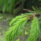 DSCN8615.JPG