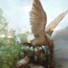 DSCN6830.JPG