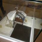 DSC05521.JPG