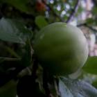 DSCN0373.JPG