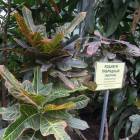 DSCN4793.JPG