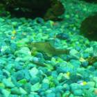 DSCN9935.JPG