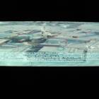 DSC02360.JPG