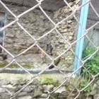 DSC05924.JPG