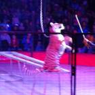 DSC07335.JPG