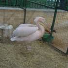 DSCN4964.JPG