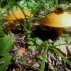 DSCN1650.JPG