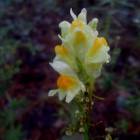 DSCN0367.JPG