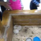 IMG_20171102_155523