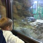IMG_20171112_191825