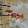 DSC04279.JPG