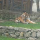 DSCN0187.JPG