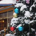 DSCN7094.JPG