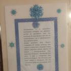 IMG_8341.JPG