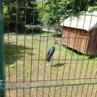DSC05942.JPG