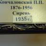 DSC04250.JPG