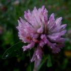DSCN0369.JPG