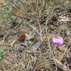 IMG_3719.JPG