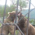 DSCN0238.JPG