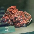 DSCN8536.JPG