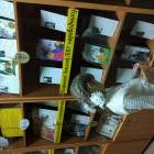 IMG_20171125_161907