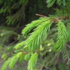 DSCN8614.JPG