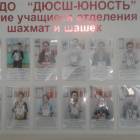 Мои успехи в шахматах