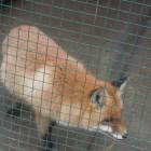 DSCN4817.JPG